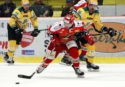 Freshka supporting ice hockey